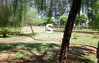 Imagem 6: Chácara com Casa à Venda em Mira Estrela - 8.000 m²