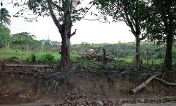 Imagem 7: Oportunidade lotes a 5 min da praia do centro a pé