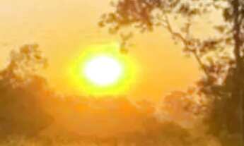 Imagem: Terrenos no interior de SP para moradia