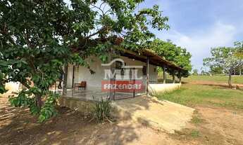 Imagem 4: Fazenda 56 alqueires ( 271 hectares ) Crixas GO