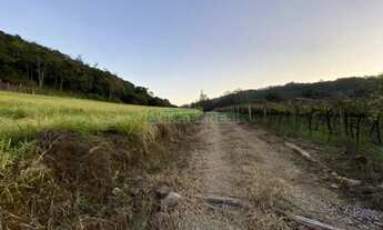 Imagem: Terreno Vila Lobos Caxias do Sul