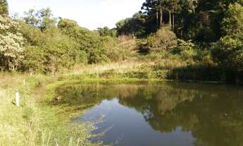 Imagem 2: Sitio 1.5 hectare com lago, pertinho de Gramado