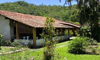 Imagem 2: Sítio de 5.000 m² legalizado e em condomínio a venda