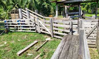 Imagem 3: Vende se essa linda fazenda