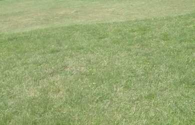 Imagem 2: CHÁCARA 3 HECTARES - OPORTUNIDADE