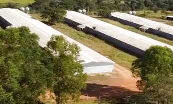 Imagem 7: Vende se Fazenda / sítio com venda por R$5.000.000