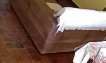 Imagem 3: Vende-se casa no Perequê