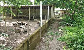 Imagem 6: Excelente Chácara Recreio à 42 km de Cuiabá