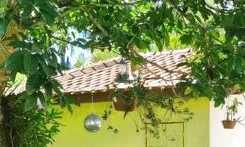 Imagem 5: Paraíso a venda