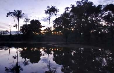 Imagem 7: LAGO DO UBIN - TERRENO COM 78.903M2, CASA COM 2 QUARTOS, VARANDA E ÁRVORES FRUTÍFERAS