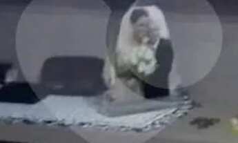 Imagem: Apartamento com 1 quartos à venda em Liberdade