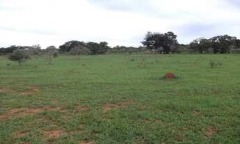 Imagem 3: Fazendinhas de 20.000m² com córrego nos fundos. Serra do Cipó (Temos varias opções)