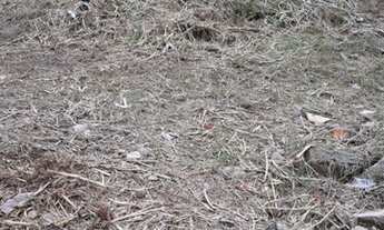 Imagem 7: TERRENO VENDA EM TABOÃO DA SERRA