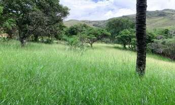 Imagem 3: Fazenda de 122 ha, nascente de água cristalina (Temos varias opções)