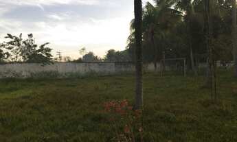 Imagem 6: Fazenda/Sítio/Chácara para venda possui 12000 metros quadrados com 1 quarto