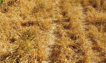 Imagem 3: Marcelo paredao 001