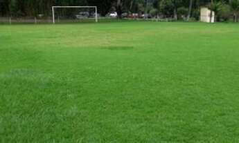 Imagem 5: Cachoeiras de Macacu - Linda Pousada/Hotel - Muito Verde-Área Rural