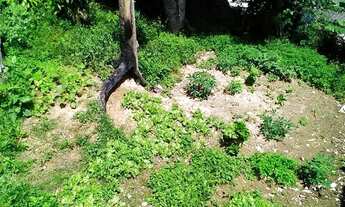 Imagem 4: Casa em Franco da Rocha