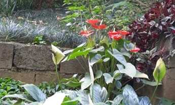 Imagem 4: Casa - Vila das Merces