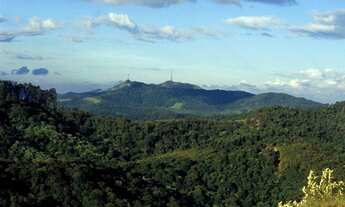 Imagem 5: Lote/Terreno GENESIS II - 490m2 - Declive com vista para floresta - Alphaville - Stna. de