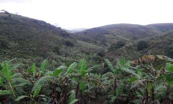 Imagem 4: Fazenda/Sítio/Chácara para venda com 62 hectares Escriturados (70 Hect Total) em Pombos-PE