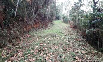 Imagem 2: Lote/Terreno para venda com 20000 metros quadrados