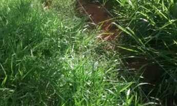 Imagem 2: Fazenda Fazenda / sítio com venda por R$8.000