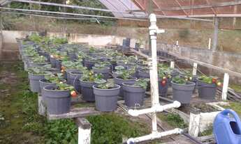 Imagem: Sítio na Estrada do BEIJAFLOR, MOGI DAS