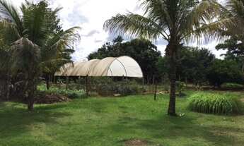 Imagem 3: Chácara - Centro - Franca