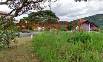 Imagem 4: Em Serra Da Cantareira