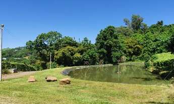 Imagem 5: Área de terras com 5,6 há, dos quais 4 há com videiras produtivas