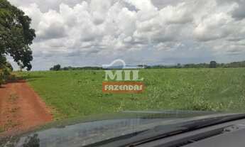 Imagem 3: Fazenda no Centro Sul do Tocantins. > 370 Alq. (1.790 Há) Já em Lavoura