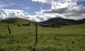 Imagem 3: Fazenda Pecuária Produtiva - Itapetinga - 20 Alqueires