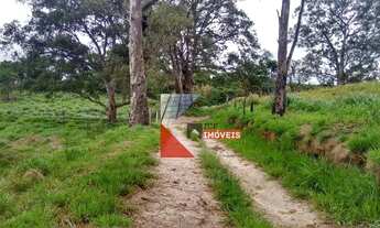 Imagem 4: Fazenda com 92 alqueires à venda em Amparo- SP