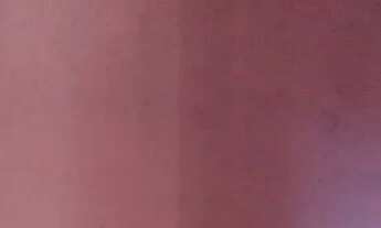 Imagem: Casa pra alugar 900 reais incluso água