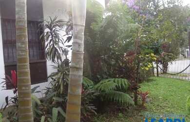 Imagem 2: CASA TÉRREA - ALTO DE PINHEIROS - SP