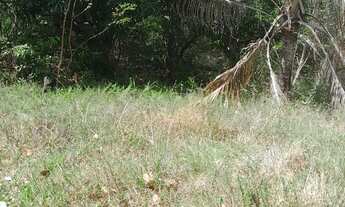 Imagem 1: Vendo este terreno itamaraca