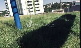 Imagem 3: área - Parque São Miguel - Hortolândia