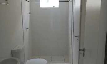 Imagem 5: Aluguel Porto Bello na Augusto Montenegro 2/4