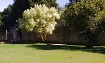 Imagem 4: Venda Casa com 3 dormitórios