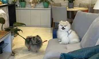 Imagem 4: Apartamento para venda com 65 metros quadrados com 2 quartos em Vila Carrão - São Paulo