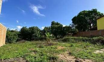 Imagem 2: Vendo terreno amplo no lameiro