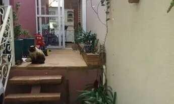 Imagem 4: CASA ASSOBRADADA - FREGUESIA DO Ó - SP