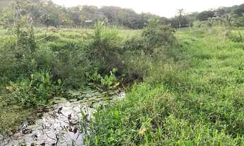 Imagem 6: Chácara com muito pasto e água pertinho do Recife