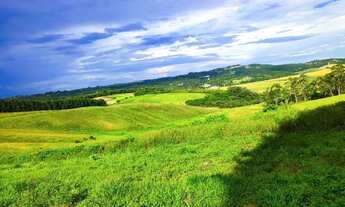 Imagem 5: Lote/Terreno para venda com 500 metros quadrados em Centro - Cotia - SP