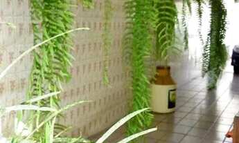 Imagem 3: CASA ASSOBRADADA - JABAQUARA - SP