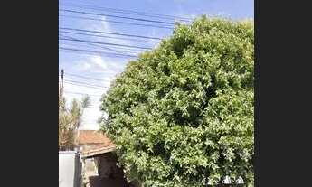 Imagem: Casa no bosque em matao (2 casas