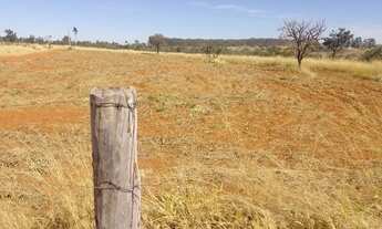 Imagem 3: Chácara a venda