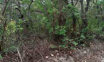 Imagem 6: Vendo este terreno itamaraca