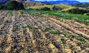 Imagem: Lote/Terreno para venda com 500 metros quadrados
